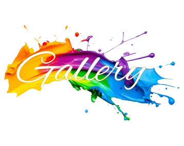 Photo and Video Gallery
